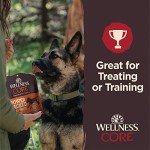 Wellness CORE Power Packed Dog Treats, Grain-Free Tender Jerky Treats, Made in USA (Beef Recipe, 4-Ounce Bag)
