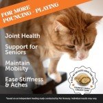 Pet Honesty Cat Hip & Joint Health Chews - Glucosamine for Cats, Cat Joint Support Supplement, Cat Health Supplies & Hip Support, Cat Vitamins for Indoor Cats & Outdoor Cats - Chicken (30-Day Supply)