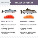 Chew + Heal Labs Seniors Soft Jerky Salmon Dog Treats - 5 oz of Omega Jerky - Dog Joint Supplement with Wild Alaskan Salmon and Turmeric - Made in The USA