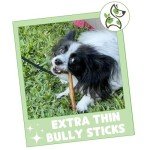 Nature Gnaws Extra Thin Bully Sticks for Small Dogs 5-6" (10 Count) - Long Lasting for Light Chewers and Puppies - Natural Beef Dog Chew Bones
