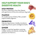 DOGSWELL Gut Health Mini Jerky Functional Dog Treats, Lamb 4 oz. Bag