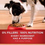 Purina ONE Dry Dog Food Lamb and Rice Formula - 16.5 lb. Bag