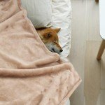 Onarway Dog Blanket Washable for Puppy: 4 Packs Dog Blankets 40”x28” - Fluffy Soft Small Throw for Cat Puppy Kitten Dogs - Fleece Pet Blankets for Bed Sofa Car and Indoor - Grey and Khaki