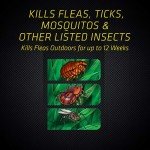 Black Flag Flea and Tick Killer Concentrate Yard Treatment, 32 Ounces, Ready To Spray, Quickflip Hose End Sprayer