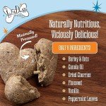 The Lazy Dog Cookie Co. Bitscuits, Horse Treats, Alfalfa, Flax & Peppermint, Pocket Size Biscuits for Horses & Ponies, All Natural Horse Cookies, Made in USA, 14 oz. Bag (Pack of 1)