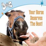 The Lazy Dog Cookie Co. Bitscuits, Horse Treats, Alfalfa, Flax & Peppermint, Pocket Size Biscuits for Horses & Ponies, All Natural Horse Cookies, Made in USA, 14 oz. Bag (Pack of 1)