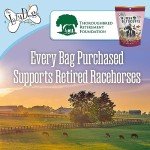 The Lazy Dog Cookie Co. Bitscuits, Horse Treats, Alfalfa, Flax & Peppermint, Pocket Size Biscuits for Horses & Ponies, All Natural Horse Cookies, Made in USA, 14 oz. Bag (Pack of 1)