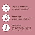 Nutrish Rachael Ray Little Bites Dry Dog Food, Chicken & Veggies Recipe for Small Breeds, 6 Pounds