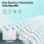 Elevated Outdoor Dog Bed with Canopy, Raised Dog Cot with Stable 360°Adjustable Feet, Dog Camping Bed with Larger Shade, Lifted Dog Tent Bed with Canopy for Outside Camping, Backyard, Patio & Park