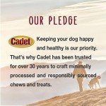 Cadet Junior Stuffed Shin Bones - Highly Digestible, High Protein, Long-Lasting Dog Chew Bone for Aggressive Chewers, Supports Dental Health, - Peanut Butter Flavor, Mini (2 Count)