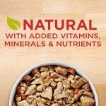 Purina ONE Tender Cuts in Wet Dog Food Gravy Chicken and Brown Rice Entree - (Pack of 12) 13 oz. Cans