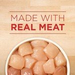 Purina ONE Tender Cuts in Wet Dog Food Gravy Chicken and Brown Rice Entree - (Pack of 12) 13 oz. Cans