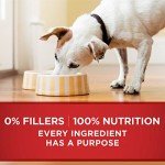 Purina ONE Tender Cuts in Wet Dog Food Gravy Chicken and Brown Rice Entree - (Pack of 12) 13 oz. Cans