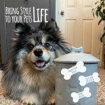 Park Life Designs - Ceramic Pet Treat Jar with Airtight Lid for Dogs, Cats, Puppies and More, Chic Kitchen Countertop Container for Cookies, Biscuits and Treats (Manor, Grey, 1.4 Qt)