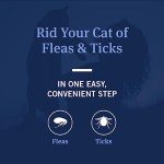 PetArmor Flea and Tick Shampoo for Cats, Coconut Berry Scented Flea Shampoo and Conditioner for Cats, Flea Treatment Kills Fleas and Ticks, 12oz