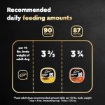 CESAR Adult Wet Dog Food Classic Loaf in Sauce Breakfast and Dinner Mealtime Variety Pack, (12) 3.5 oz. Easy Peel Trays, Pack of 2