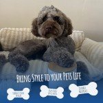 Park Life Designs - Metal Pet Treat Jar with Airtight Lid for Dogs, Cats, Puppies and More, Chic Kitchen Countertop Container for Cookies, Biscuits and Treats (Hector, White, 2.25 Qt)