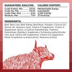 BIXBI Rawbble Freeze Dried Dog Food, Beef Recipe, 12 oz - 98% Meat and Organs, No Fillers - Pantry-Friendly Raw Dog Food for Meal, Treat or Food Topper - USA Made in Small Batches