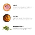 Pet Jerky Factory Premium Turkey and Pumpkin 5 oz. Dog Jerky Treats | 100% Human Grade | USA Made | High Protein | Grain Free | Limited Ingredients | No Filler | BHA-BHT Free | Soft-Tender