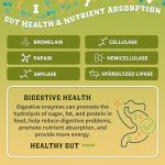 Glucosamine for Dogs, Hip and Joint Supplement for Dogs with Chicken Flavor, Anti Inflammatory, Dog's Chondroitin, Digestive Enzymes, Omega-3, Vitamin D, MSM, Calcium, Turmeric, 120 Freeze-Dried Chews