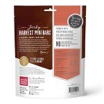 The Honest Kitchen Jerky Harvest Mini Bars: Beef Recipe With Carrots & Apples, 4 oz Bag