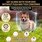 YOTANGO 4 Pack Flea Collar for Dogs, 32 Months Flea and Tick Prevention for Dogs, Waterproof Dog Flea Collar, Dog Flea and Tick Treatment, Adjustable Flea and Tick Collar for Dogs Puppy-Black