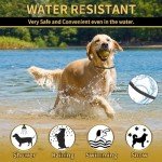 YOTANGO 4 Pack Flea Collar for Dogs, 32 Months Flea and Tick Prevention for Dogs, Waterproof Dog Flea Collar, Dog Flea and Tick Treatment, Adjustable Flea and Tick Collar for Dogs Puppy-Black