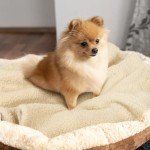 furrybaby Premium Soft Dog Blanket for Small Dogs Puppy Cat Washable Sherpa Fleece 24x32 Inches Pet Throw for Bed Furniture Couch Sofa Protection(Small, Beige Blanket)
