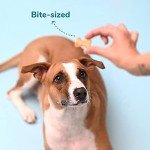 Heads Up for Tails Dog Biscuits Non Veg Treats Cookies Chicken and Oats Biscuits -320 Gram Each - Pack of 2