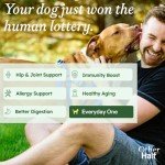 Other Half Everyday One - Clean Dog Multivitamin Supplement - Daily Joint, Gut, Allergy, Immune, Urinary Tract Support & More - Glucosamine, Chondroitin, Omega 3 & Probiotics | 45 Active Ingredients