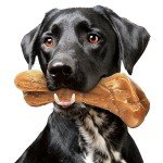 Indestructible Beef Flavored Dog Bone Toy