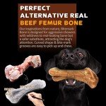 Indestructible Beef Flavored Dog Bone Toy