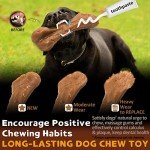 Indestructible Beef Flavored Dog Bone Toy