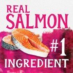 Triumph Free Spirit Salmon & Veggie Jerky Bites