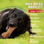 Indestructible Beef Flavored Dog Bone Toy