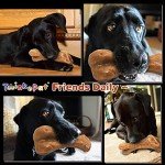 Indestructible Beef Flavored Dog Bone Toy