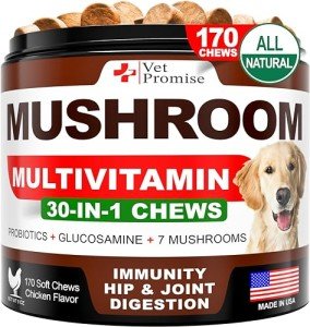 Turkey Tail Mushroom Chews for Dogs - 170 Count