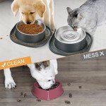 Stainless Steel Pet Bowls with Non-Slip Base