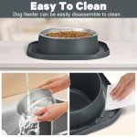 Stainless Steel Pet Bowls with Non-Slip Base