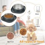 Stainless Steel Pet Bowls with Non-Slip Base
