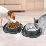 Stainless Steel Pet Bowls with Non-Slip Base