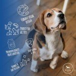 Airtight Metal Pet Treat Jar - Chic Design