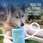 Airtight Metal Pet Treat Jar - Chic Design