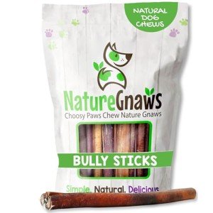 Nature Gnaws Long-Lasting Bully Sticks for Dogs
