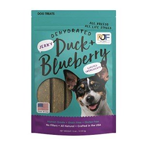 Duck and Blueberry Dog Jerky Treats – 5 oz