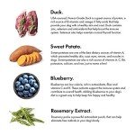 Duck and Blueberry Dog Jerky Treats – 5 oz