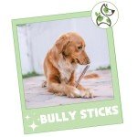 Nature Gnaws Long-Lasting Bully Sticks for Dogs