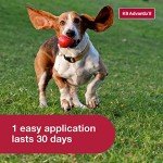 K9 Advantix II Small Dog Flea & Tick Prevention