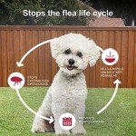 K9 Advantix II Small Dog Flea & Tick Prevention