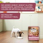 Rachael Ray Nutrish Little Bites Dog Food 14 lbs